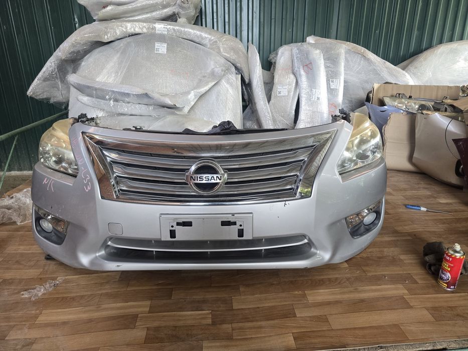 Мини морда ноускат