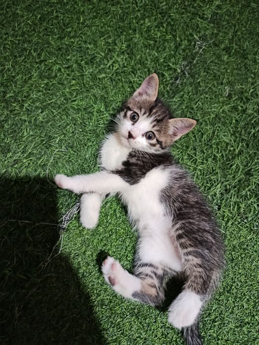 100mingdan 40kun boʻldi tugʻulganiga