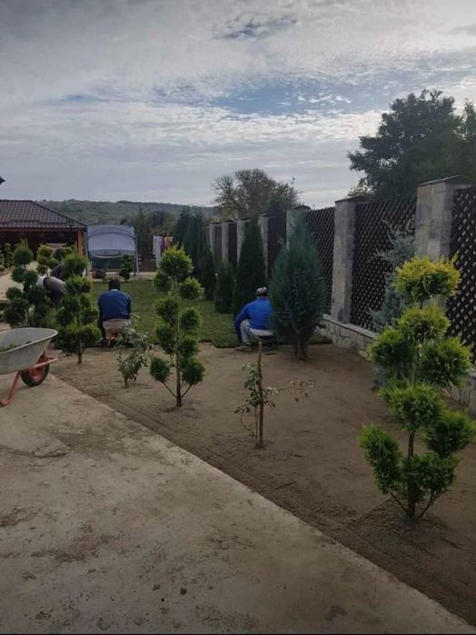 Amenajăm grădini de la A la Z cu tot ce aparține de spații verzii.