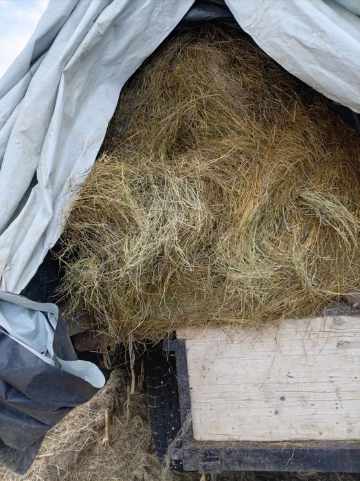 Baloți rotunzi de vânzare