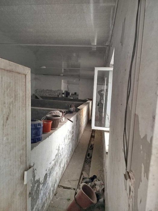 Go`sht va baliq maxsulotlarini qayta ishlash va maxsulotlarni saqlash