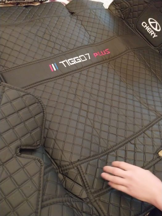 Полик для Chery plus