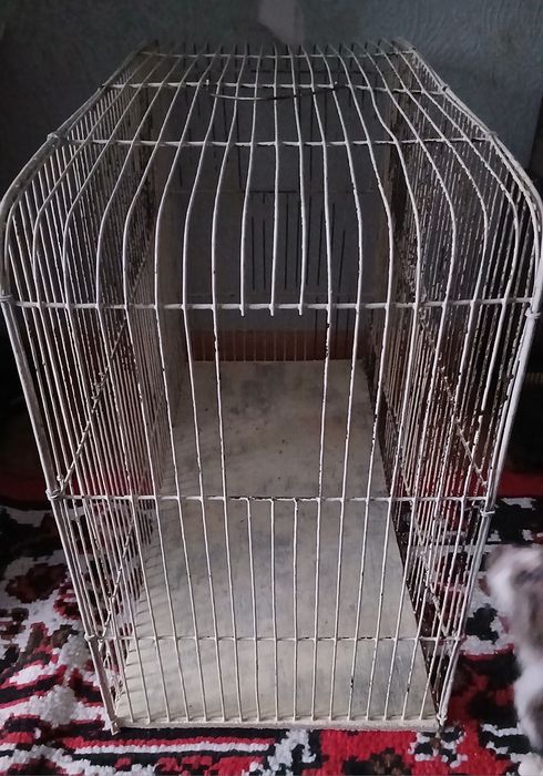 Клетка для любых птиц