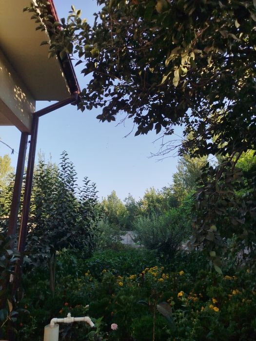 Xovli sotiladi Qibray tumani Salar shaharchasida