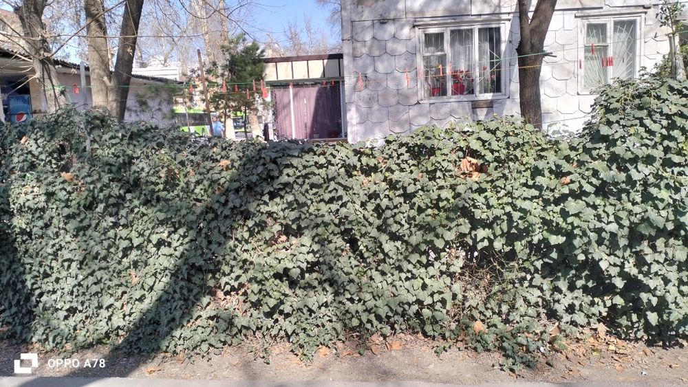 Спутник 1 3ком пад офис магазин