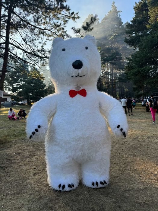 ТАНЦУВАЩИТЕ БЯЛО МЕЧЕ, СТИЧ, ПАНДА област Пловдив, Пазарджик и София