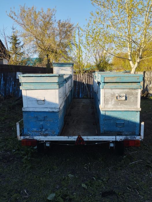 Прицеп с ульями для легкового автомобиля