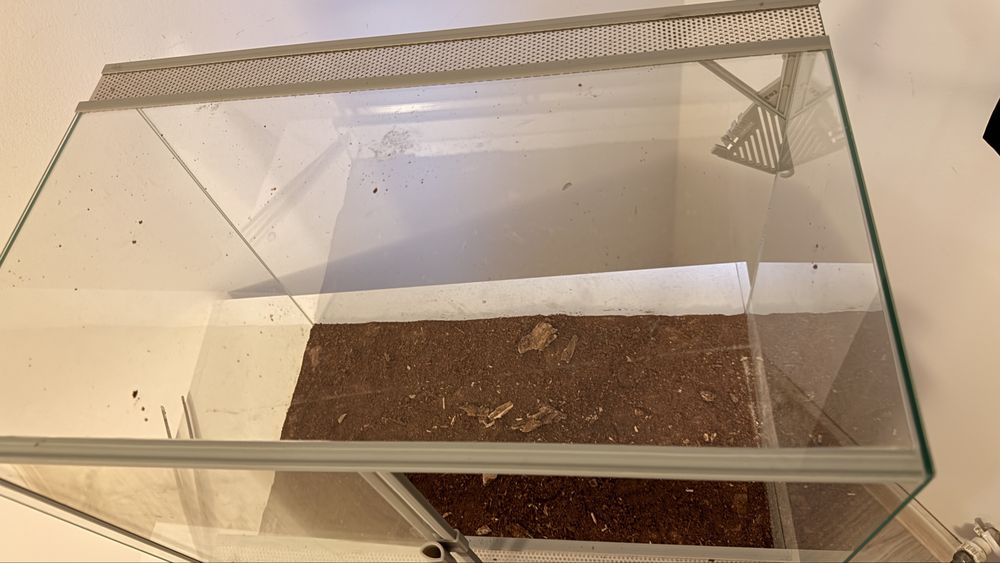 Terrarium diversa 60x30x30 – ideal pentru gecko, șarpe,