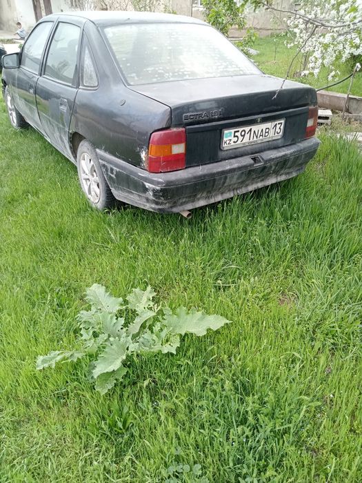 Нахаду салон туралау керек болды