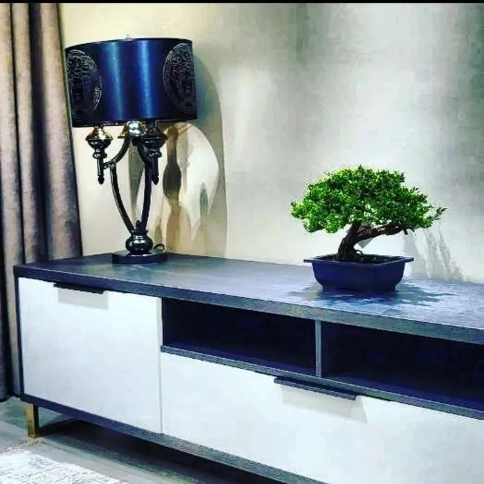 Бонсай. Дерево в горшке