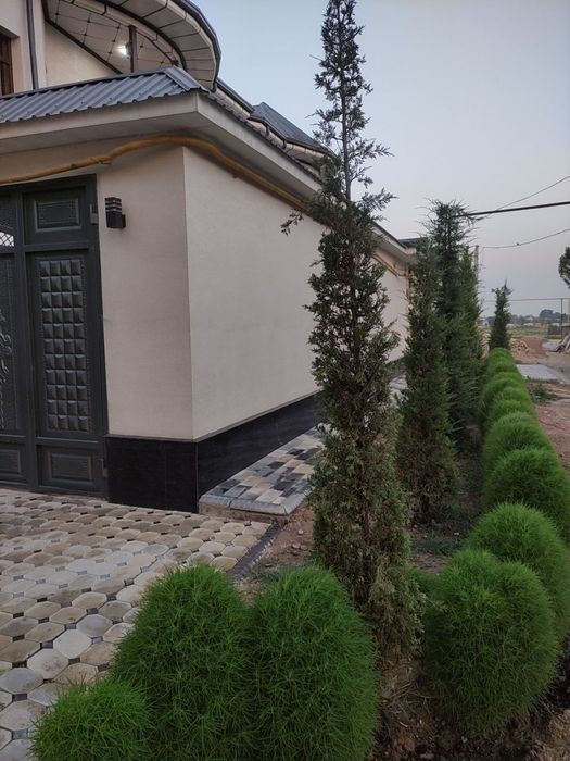 Келес куктерак 8хонали уйимни сотаман