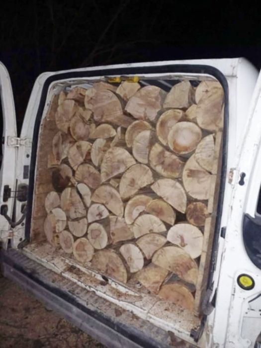 Lemne uscate și verzi esență tare Fag Carpen