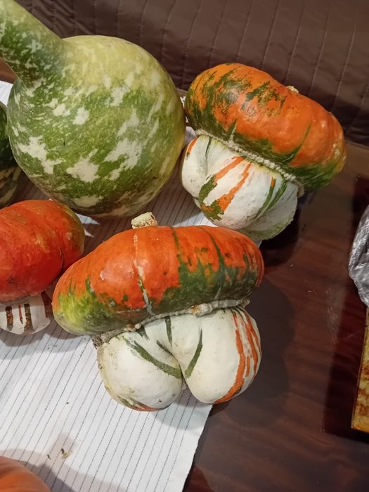 Декоративни тикви