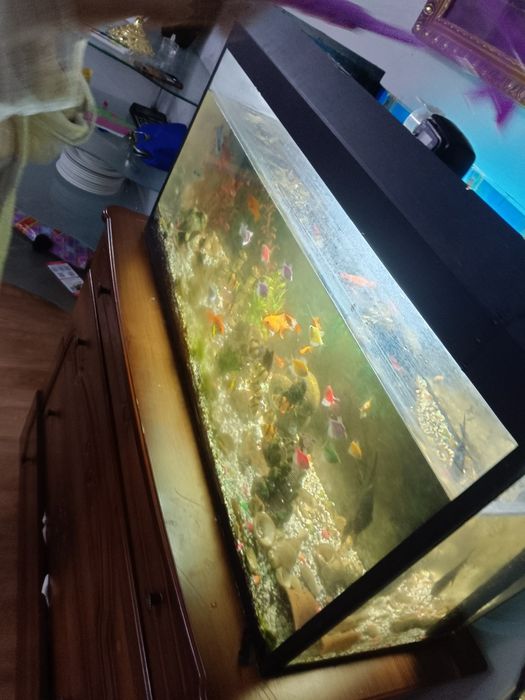 Аквариум 120л с рыбками