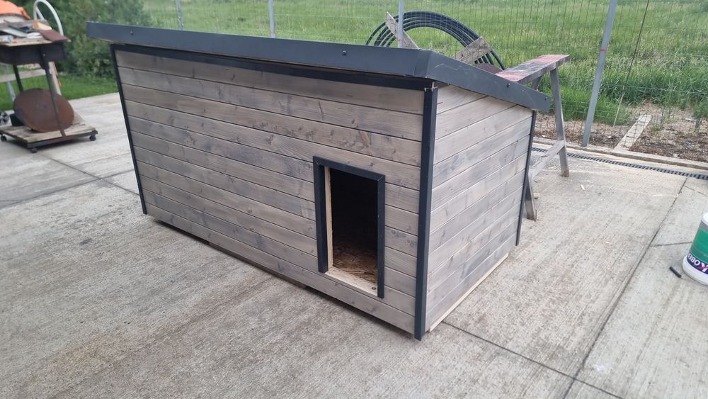 Vand cusca pentru caini