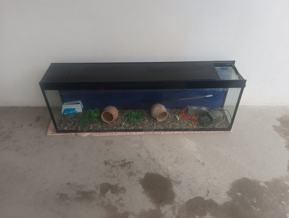 Аквариум для рыбы