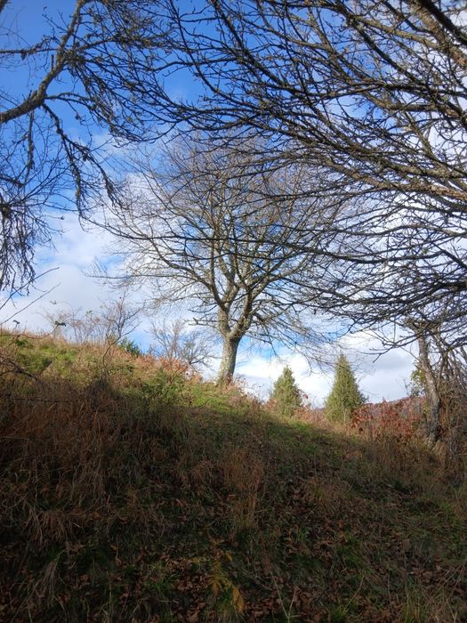 Vând teren Ticera