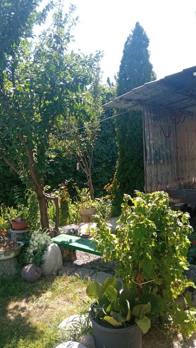 Продам дачу в хорошем месте рядом озеро