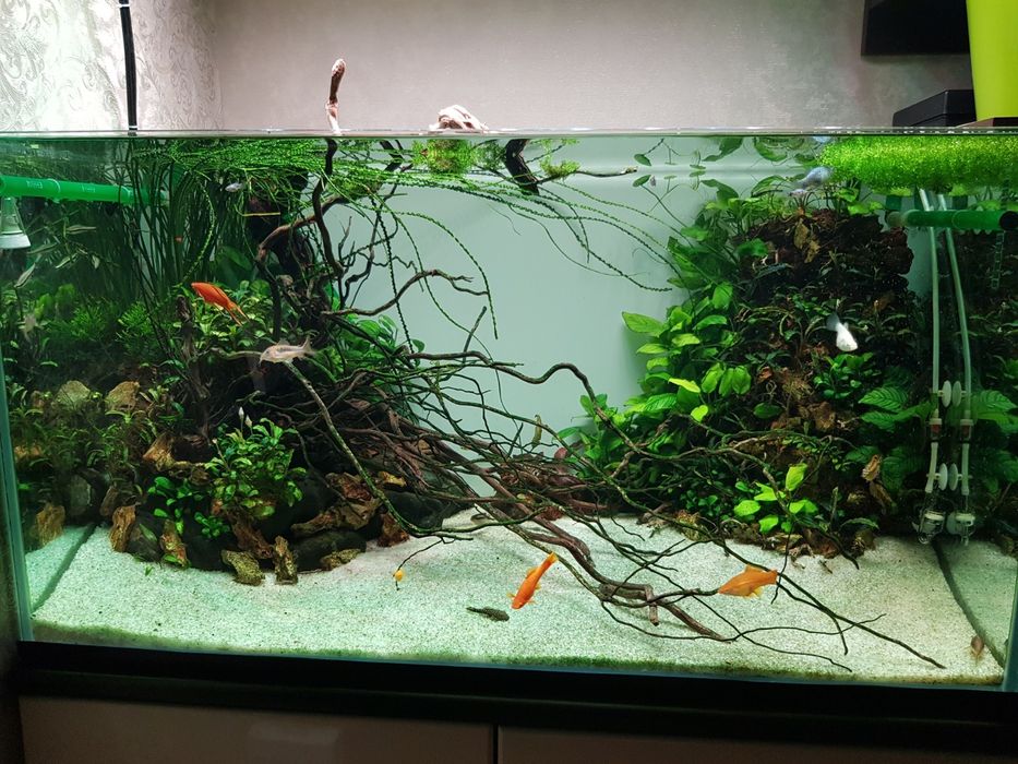 Обслужка  с аквариумами