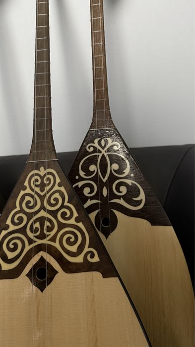 Профессинальные Домбыры