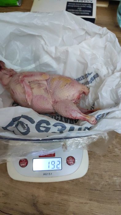 Бөдене еті.Мясо перепелов.