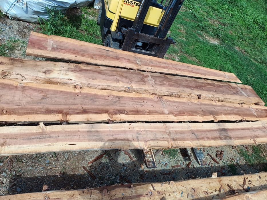 Дървен материал Секвоя