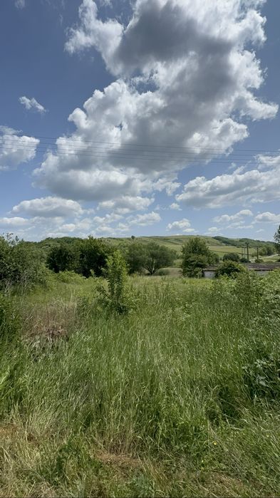 Teren de vanzare Cehal 64 Ha