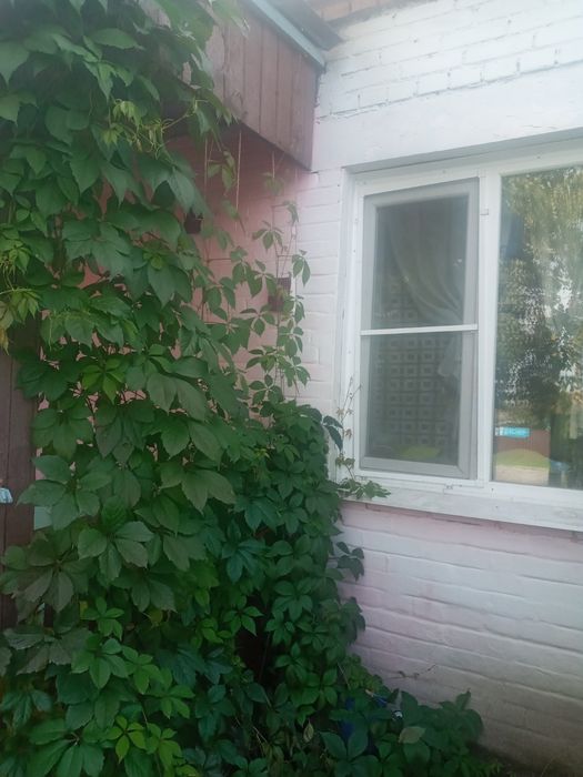 Продам теплый кирпичный дом !