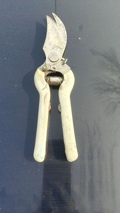 Советский секатор