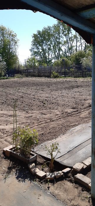 Продам дачу,сад Здоровье.