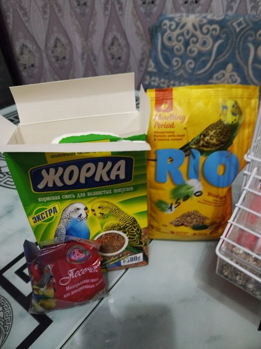 Продам волнисти папугай