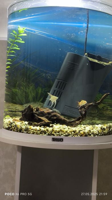 Аквариум фирмы Tetra