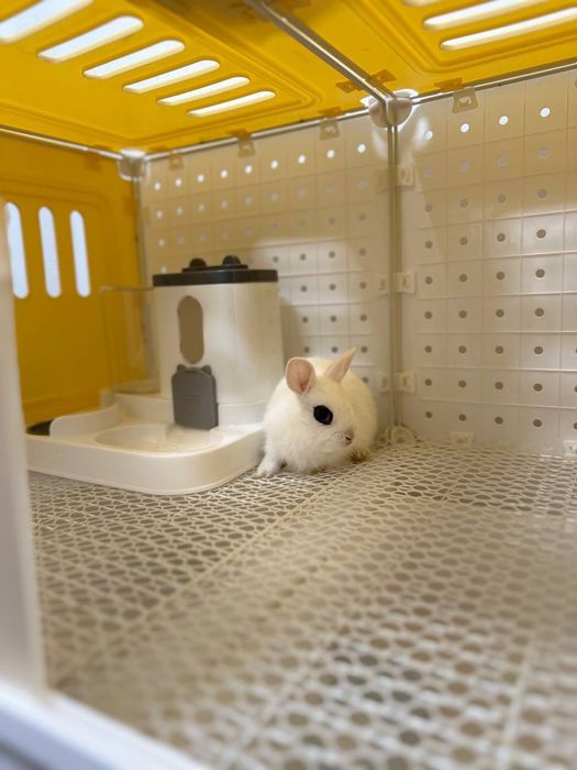 Farzandingizga telefon emas… yurak bilan bog‘lanadigan tirik do‘st ber