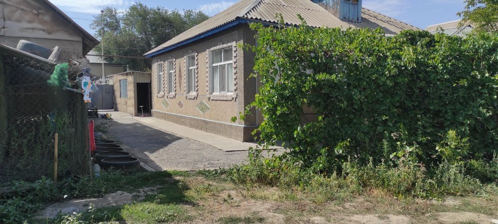 Болуан Шолак 52 Продам