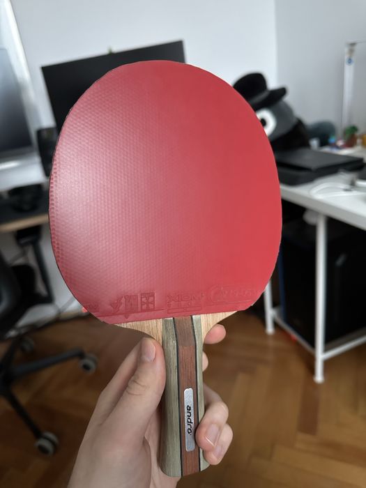 Paleta tenis de masa Andro + Fețe Xiom