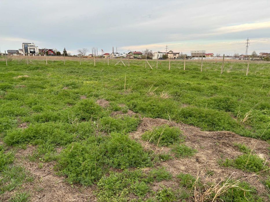 Teren intravilan de vanzare - Agigea - Zona RO-RO, Steaua de Mare