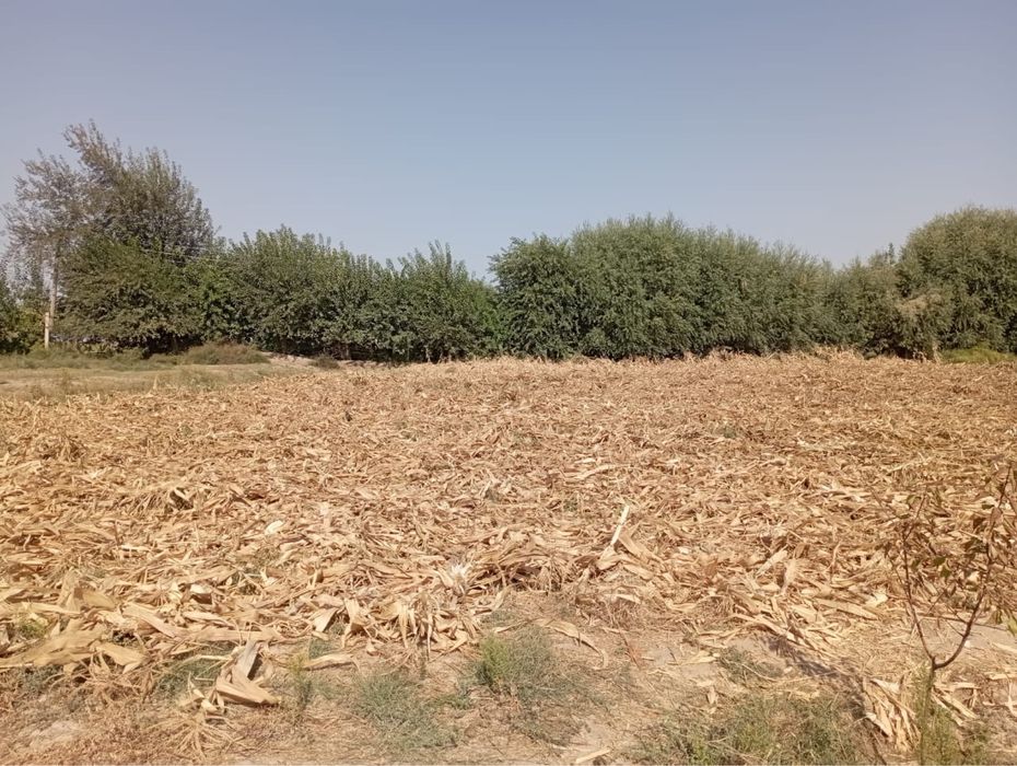 Участок жетісай алғабас