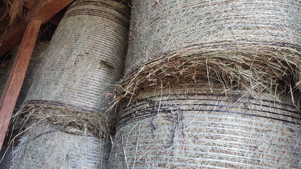 Baloti rotunzi fan si otava