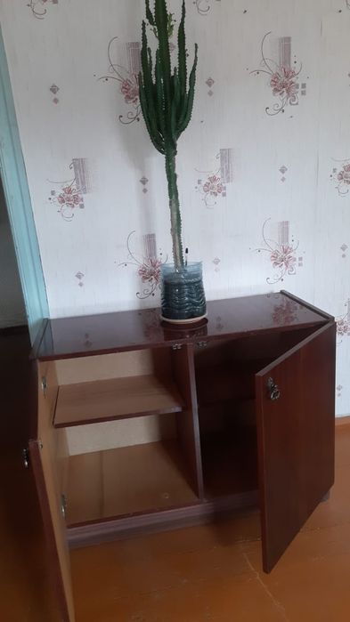 Срочно нужно продать  цветы