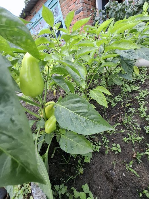 Продам Дачу Железобетонщик