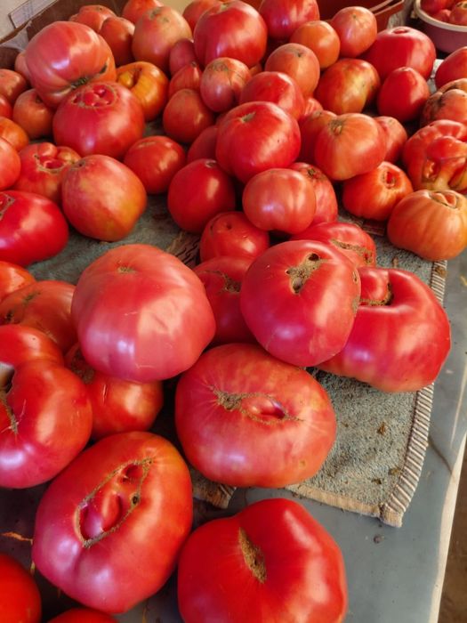 Продам  овощи домашние
