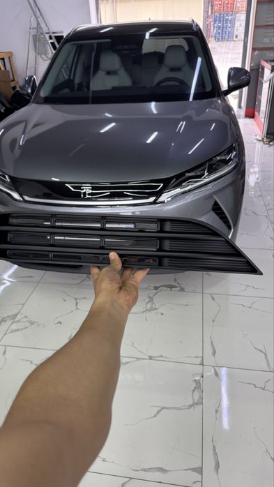 Reshotka byd yuan up yuan up oldi zashita защитная решетка