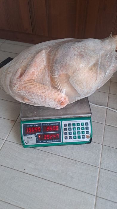 Продам тушки  индюков домашних