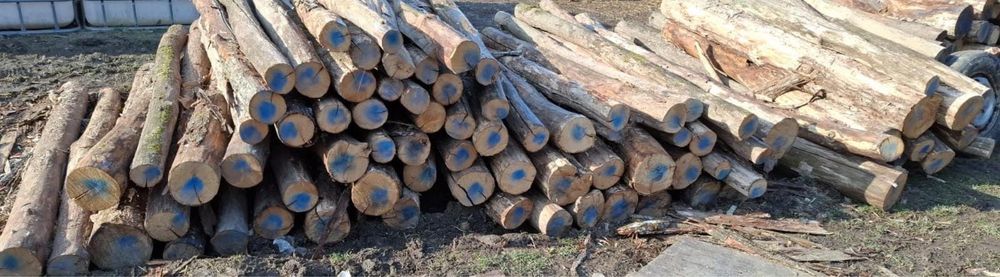 Vând stalpi /gard salcâm/castan