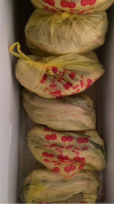 Судак, свежая рыба оптом