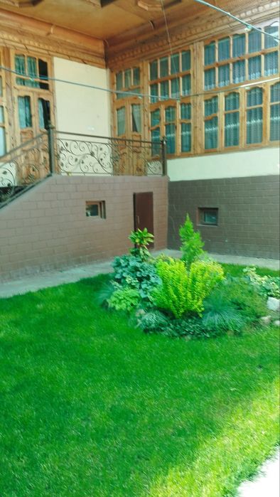 Тошкент вилояти Занги-ота тумани Кук-терак