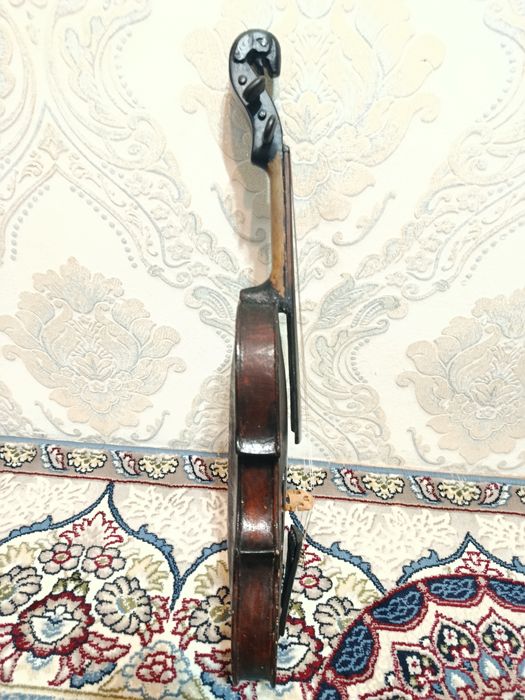 Lumar skripka sotilad