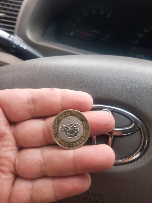 100тг монета с оленем