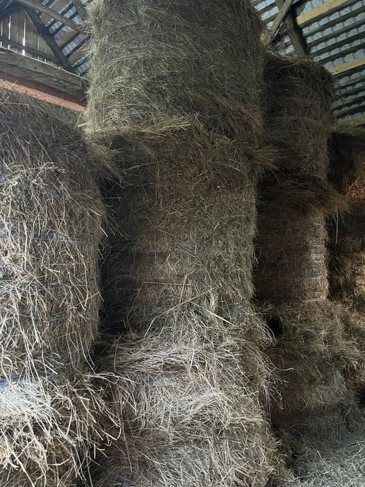 Vând baloți de fân!