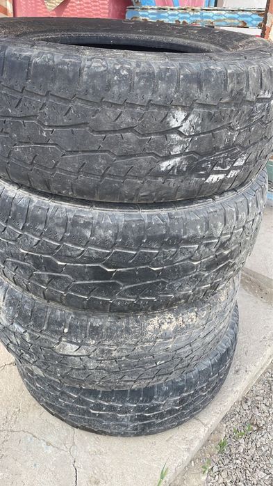 Летние Шины R17.